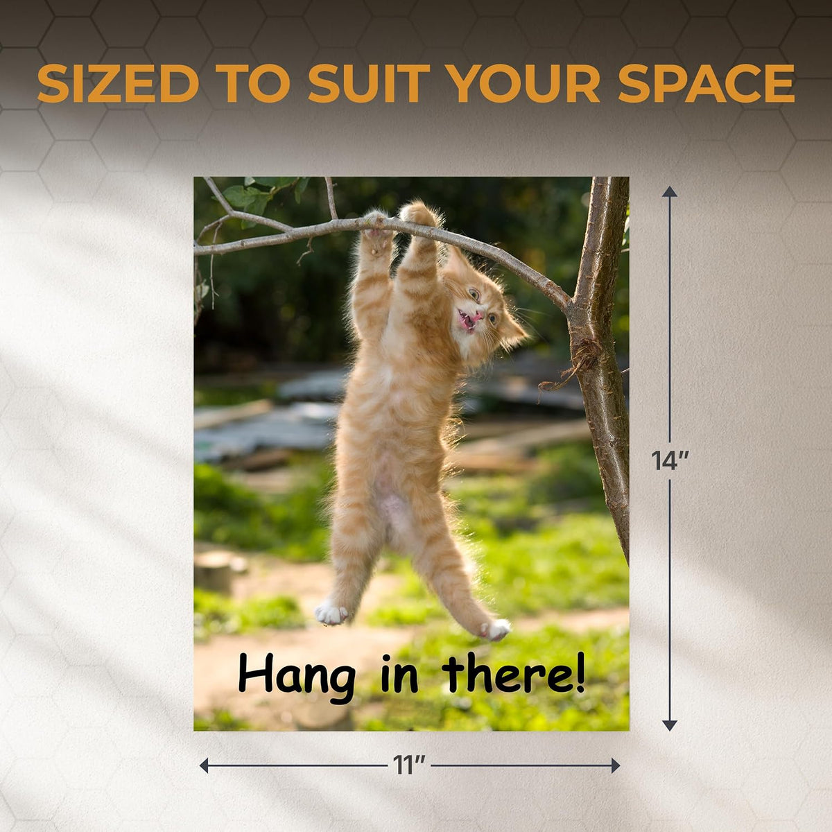 Hang in There! - 11 x 14 Poster