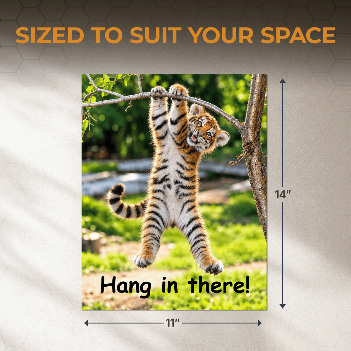 Hang in There Tiger! 11x14 Poster