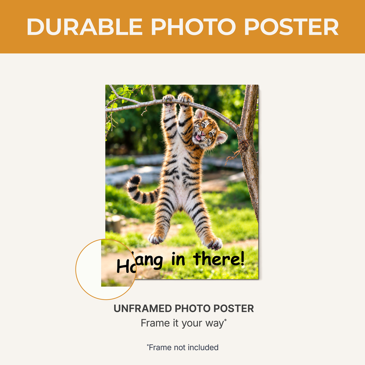 Hang in There Tiger! 11x14 Poster